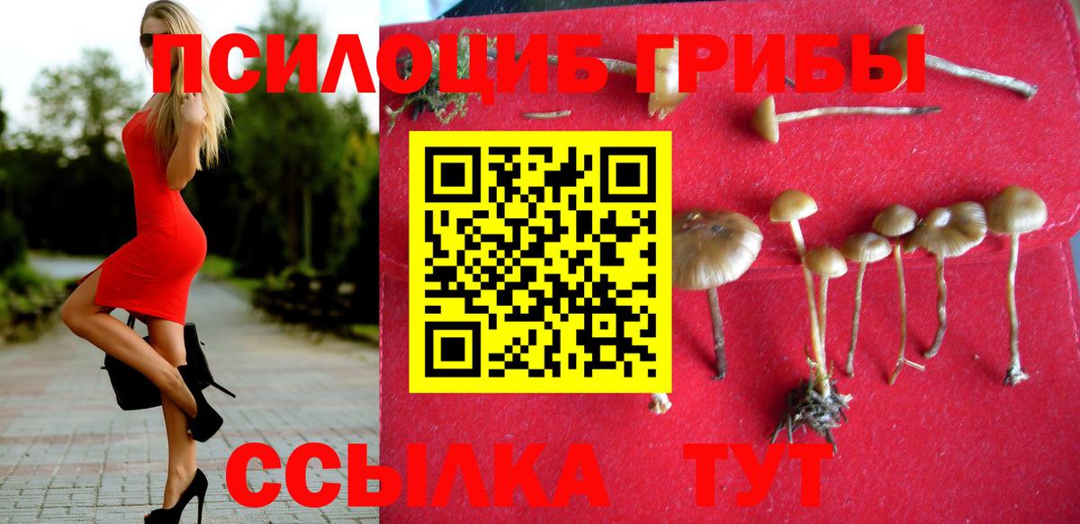 Псилоцибиновые грибы Magic Shrooms Великий Новгород